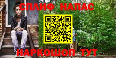 мдпв Беслан