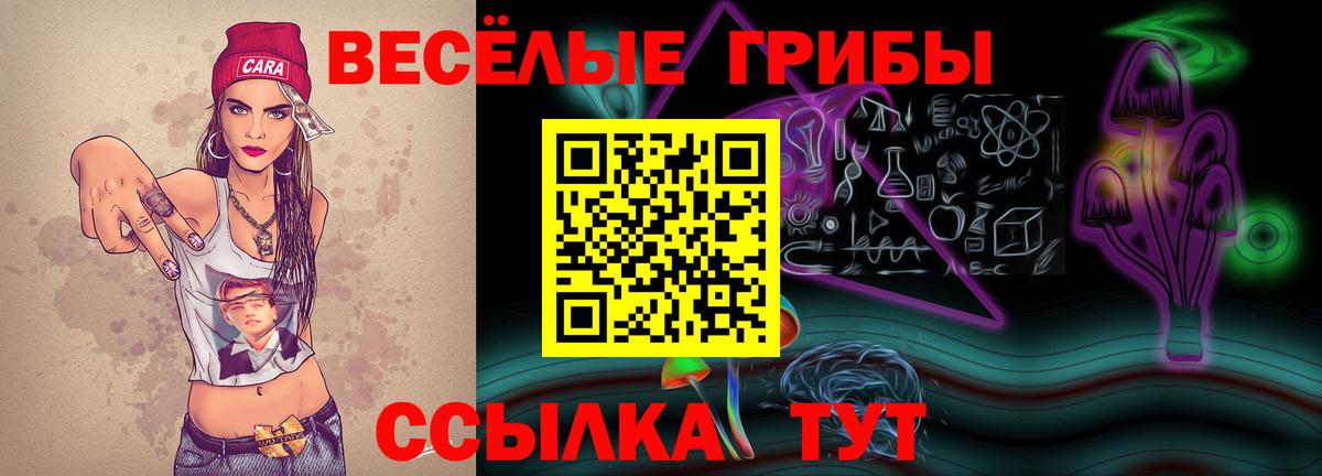 Галлюциногенные грибы Cubensis  Вход с VPN  Зима  где можно купить   Псилоцибиновые грибы мухоморы 