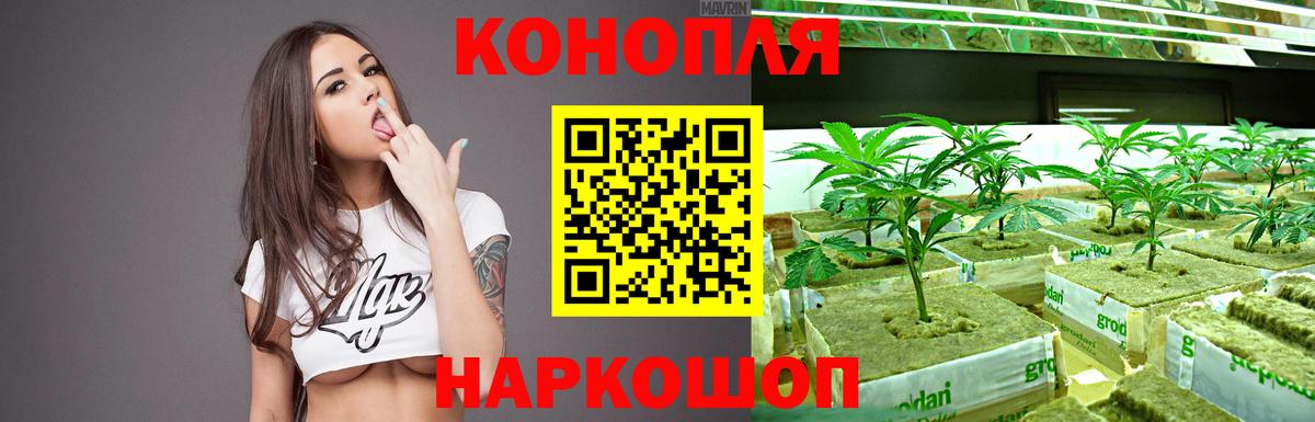 Канабис LSD WEED Зима